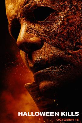 网站快速优化只信i火20星荐